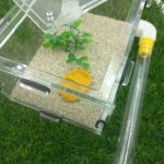 Başlangıç Seti 20x10x7 cm - Görsel 2