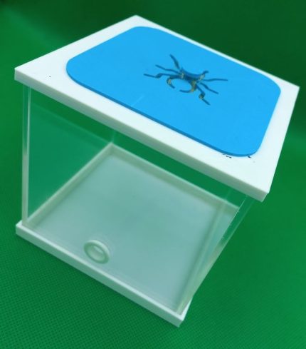 15x15x15 cm Outworld