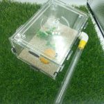 Başlangıç Seti 20x10x7 cm