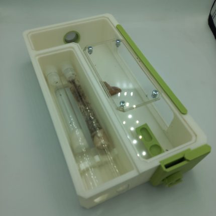 Tetramorium Kolonisi (Yaşam Alanı Dahil)